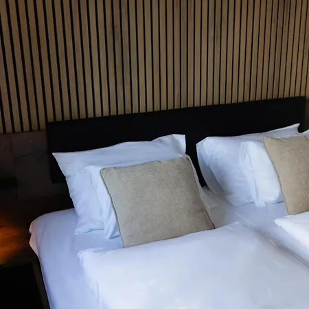 Olgi Milla Apartment Balatonalmadi